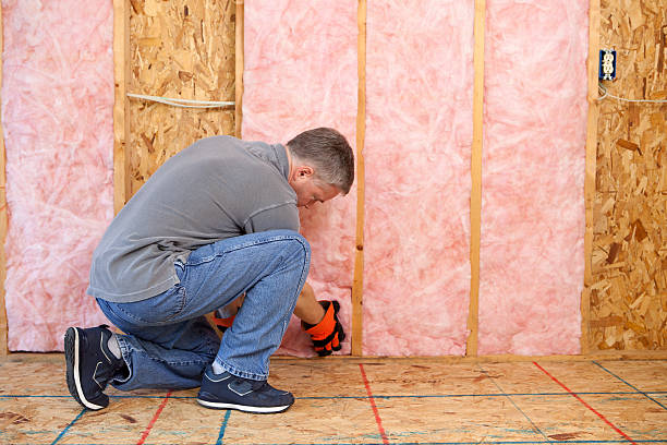 Best Garage Insulation  in Manchester, MI